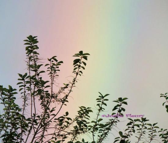 Un arc-en-ciel est un phénomène optique et météorologique