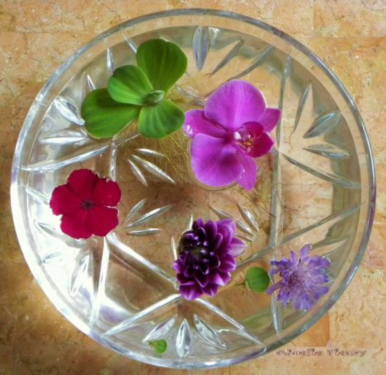 un moment zen coup d'eau et divers fleurs  sur ma table de salon