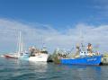 bateaux pêcheurs proffessionnelle port st denis